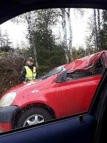 A tree top fell over my car while driving