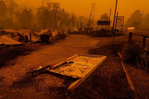 Australian Bush fires (some images may be disturbing)