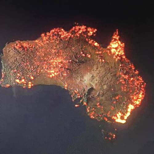 Australian Bush fires (some images may be disturbing)