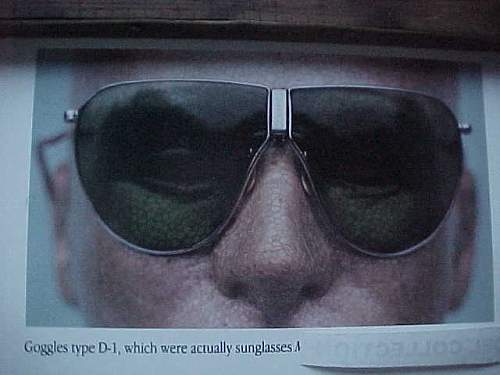 Identify these Sunglasses
