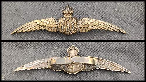 WW1 RFC Wings ?