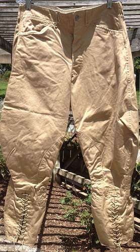 Cotton summer pants