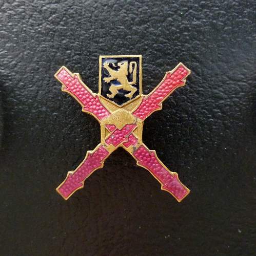 Who can identify these two belgian badges of Rhineland occupation?